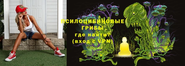 ПСИЛОЦИБИНОВЫЕ ГРИБЫ Алексин