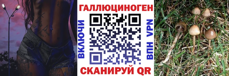 Псилоцибиновые грибы Cubensis Алупка