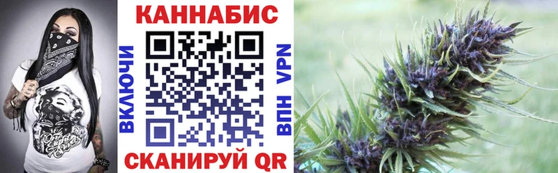 Конопля сатива  Алупка 